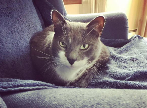 Fenway Dec 15 2016.jpg